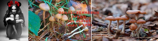 кристаллы Белоозёрский