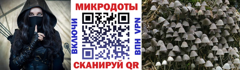 Псилоцибиновые грибы MAGIC MUSHROOMS  Купить где  Саянск 